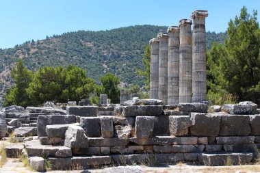 Priene antik şehri. Taşlar ve Dorik sütunlar