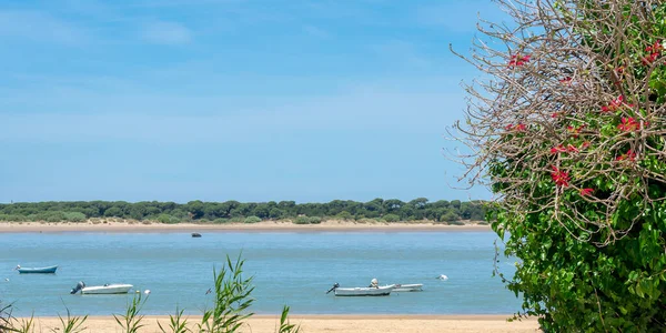 Fishing Boats Bonanza Beach Bonanza Cadiz Andalusia Spain Europe — 스톡 사진