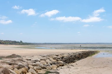 Cachucha Sahili, Puerto Real, Cadiz. Endülüs, İspanya. Avrupa.