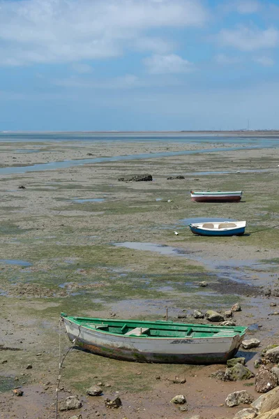 Barcos Pesca Praia Cachucha Puerto Real Cádiz Andaluzia Espanha Europa — Fotografia de Stock