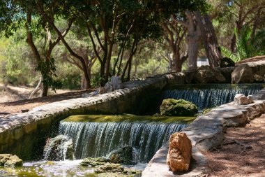 Guardamar del Segura sahilindeki Reina Sofia Dunes parkında, Alicante. İspanya. Avrupa.