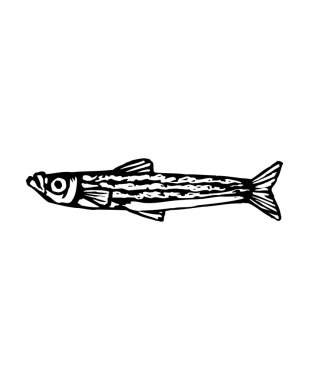 Vector illustration of a fish clipart