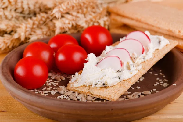 Tomatoes with crispy bread and curd cheese — Stock Photo, Image