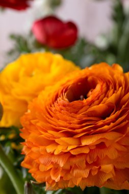 Öndeki turuncu olan ile birkaç düğün çiçeği çiçek