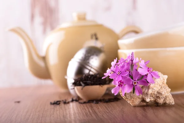 Several pink carnations in seashell and tea set — Stock Photo, Image