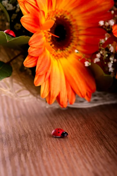 Pequena joaninha de madeira na frente do buquê de gerberas — Fotografia de Stock