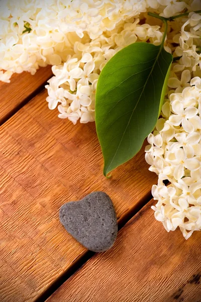 Szary kamień obok kwiatów bzu w kształcie serca — Zdjęcie stockowe