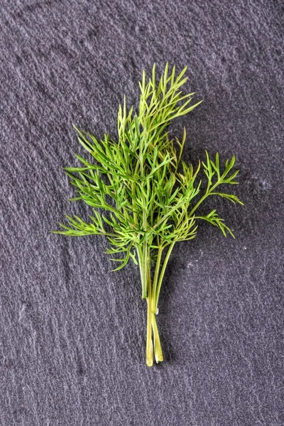 Several sprig of green dill on slate stone — Stock Photo, Image