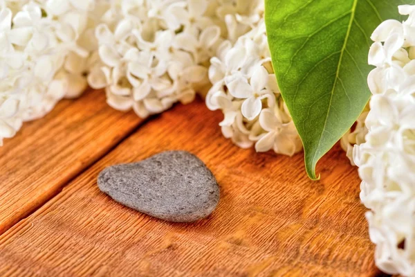 Pedra cinzenta em forma de coração ao lado de flores lilás — Fotografia de Stock