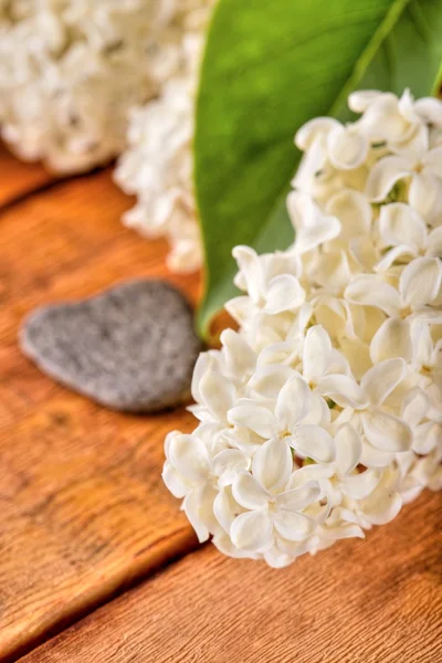 Flores brancas de lilás em placa de madeira com pedra em forma de coração — Fotografia de Stock