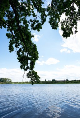 Önünde bir şube ile rüzgarlı gün gölet üzerinde göster