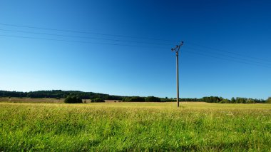 Tek elektrik direği ile yaz çayır