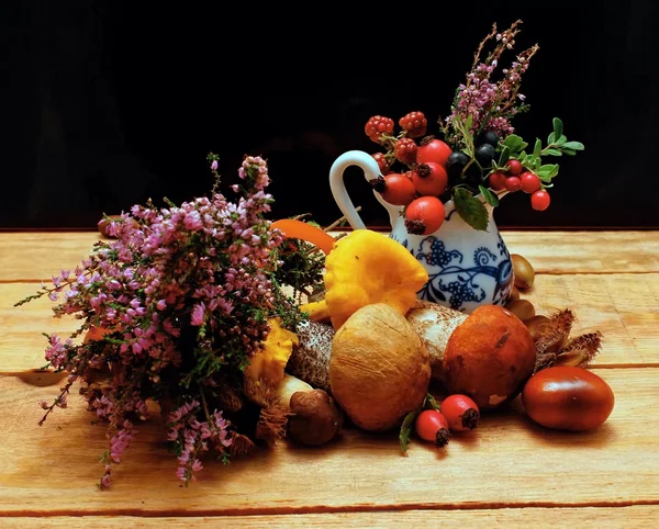 Mushrooms and heather — Stock Photo, Image