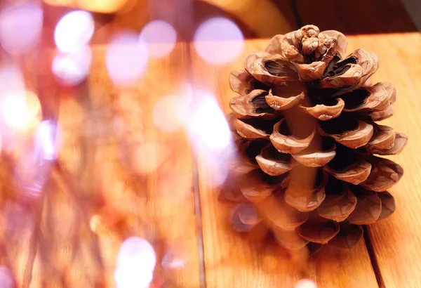 Pinecone on wooden board — Stock Photo, Image