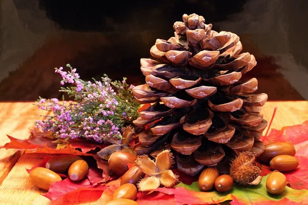 Pinecone på trebord – stockfoto