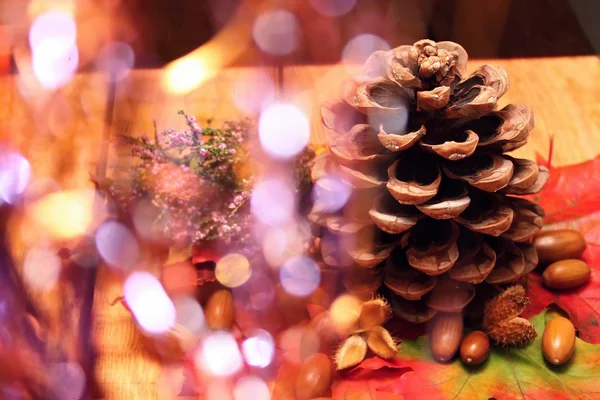 Pinecone on wooden board — Stock Photo, Image