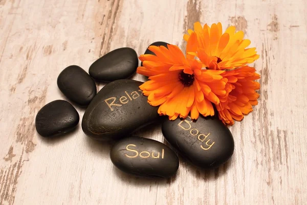 Lava stones and marigold — Stock Photo, Image