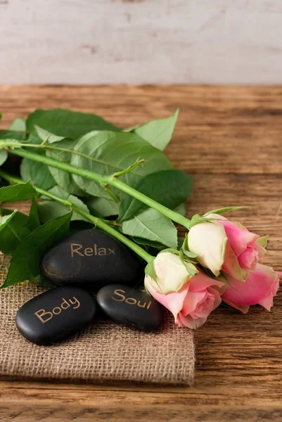 Tři lávové kameny a tři krásné růžové růže — Stock fotografie