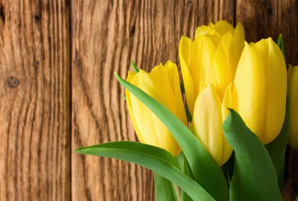 Vibrant yellow tulips in front of wooden board — Stock Photo, Image