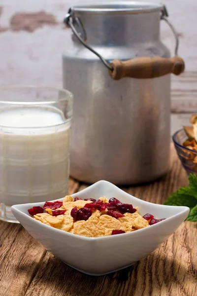 Cornflakes with dried cranberries in square bowl — Stock Photo, Image
