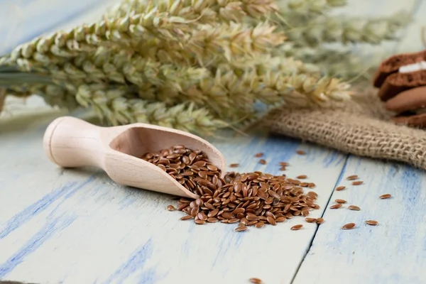 Tahta kaşık mavi gemide yakınındaki linseeds — Stok fotoğraf