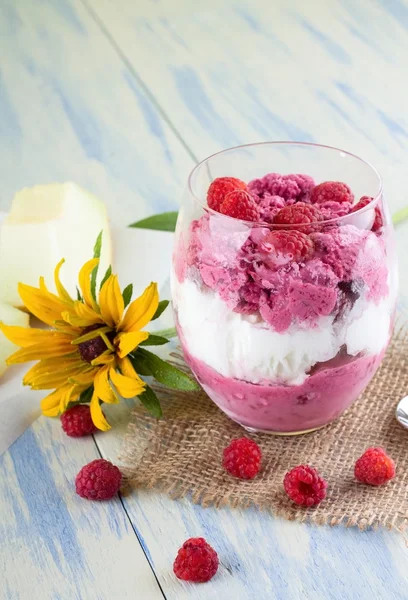 Pocas frambuesas alrededor de la taza de helado —  Fotos de Stock