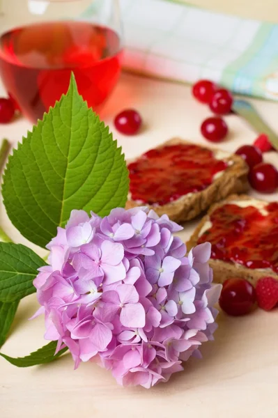 Sabah tost önünde büyük ortanca çiçek