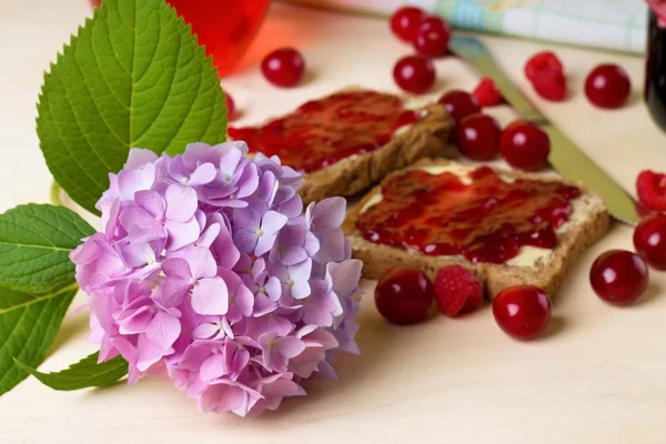 Fresh hydrangea bloom on board with toasts — Stock Photo, Image