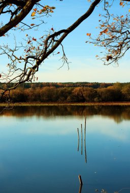 Sonbahar havuzda üç ahşap sopa
