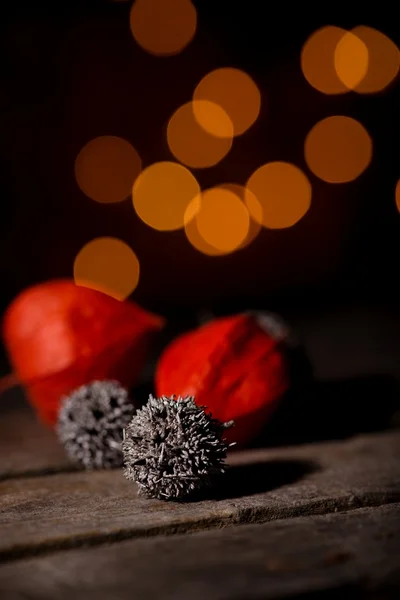 Pelota espinosa gris con flores de physalis — Foto de Stock