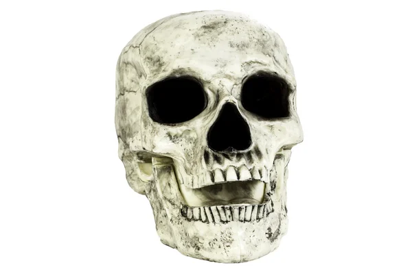 Skull Head Isolated — Stock Photo, Image