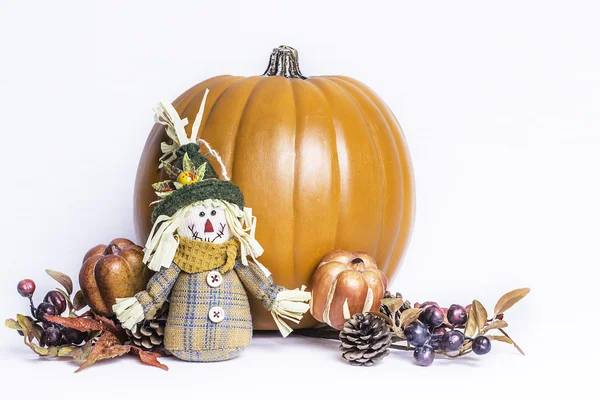 Fall Pumpkin Arrangement — Stock Photo, Image