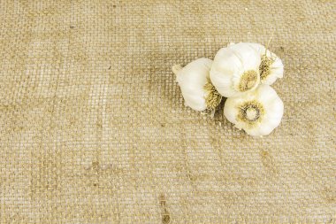 çuval bezi üzerine sarımsak