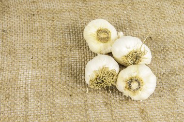 çuval bezi üzerine sarımsak