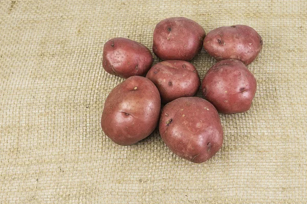 Kartoffeln mit roter Haut — Stockfoto