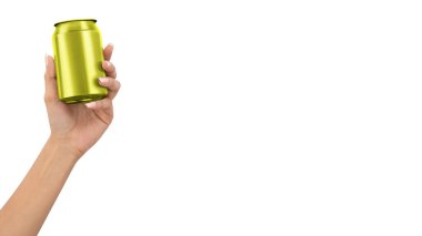 Metal alüminyum içecek kutusu. Atanmış 3D resimleme için hazır. Metin için kopyalama alanı ekle.