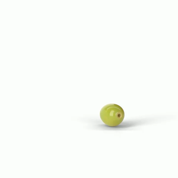 枝の上に実際の緑のオリーブ孤立した白い背景 3Dイラスト あなたのデザインプロジェクトのためのフィット — ストック写真