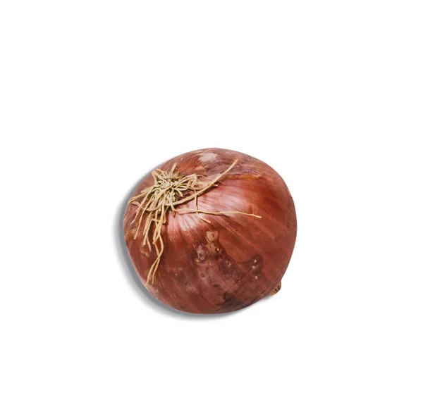 Beyaz Arkaplanda Izole Edilmiş Kırmızı Soğan Görüntüsünü Kapat Metin Için — Stok fotoğraf