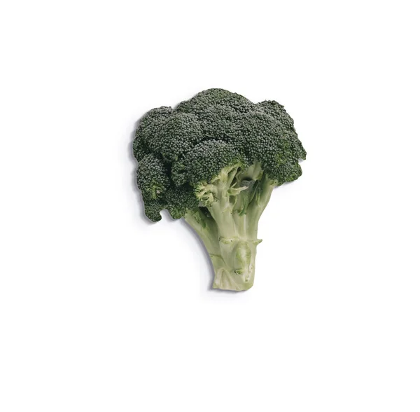 Close Zicht Verse Groene Broccoli Geïsoleerd Witte Achtergrond Toegevoegde Kopieerruimte — Stockfoto