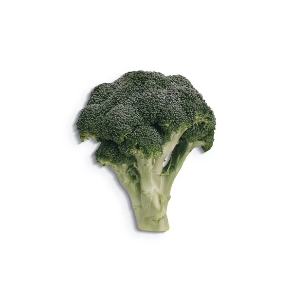 Close Zicht Verse Groene Broccoli Geïsoleerd Witte Achtergrond Toegevoegde Kopieerruimte — Stockfoto