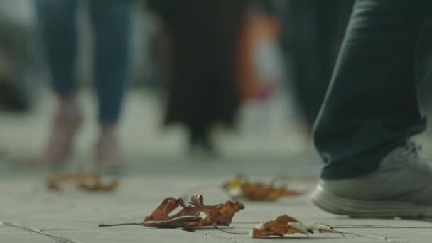 Gente Cammina Nel Traffico Cittadino — Video Stock