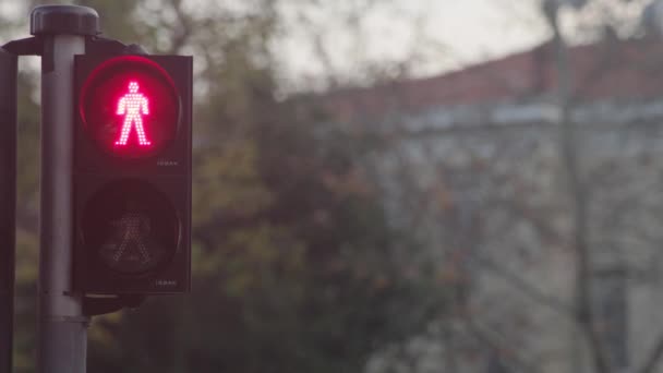 Trafikljus Grönt Ljus Blir Rött — Stockvideo