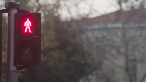 Światła Drogowe Zielone Światła Stają Się Czerwone — Wideo stockowe