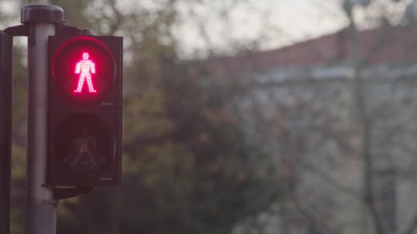 Trafik Işıkları Yeşil Işıklar Kırmızıya Dönüyor — Stok video