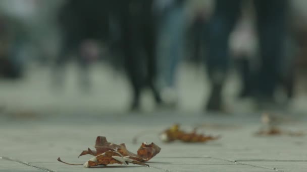 Orang Orang Berjalan Lalu Lintas Kota — Stok Video
