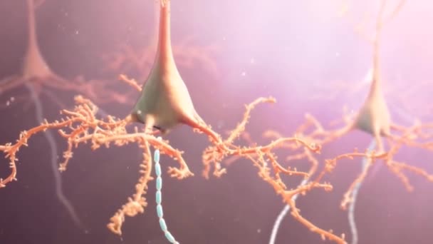 Animation Neurons Brain Synapse Neuron Cells Sending Electrical Chemical Signals — Stock Video