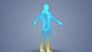 Kalp krizi: koroner arterler vurgulanır, kolesterol plağıyla yakınlaştırılır ve atardamar tıkandıkça kalp atışı durur.