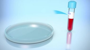 COVID-19 pozitif kan testinin 3 boyutlu animasyonu, Coronavirus romanı