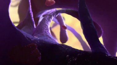 Bakteri Corynebacterium difteriae Gram-pozitif çubuk şekilli bakteri difteri ile savaşır. Bu da solunum yolu enfeksiyonuna ve deri lezyonlarına neden olur.