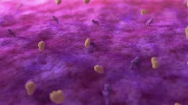Bakteri Corynebacterium difteriae Gram-pozitif çubuk şekilli bakteri difteri ile savaşır. Bu da solunum yolu enfeksiyonuna ve deri lezyonlarına neden olur.